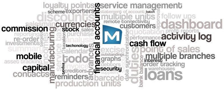 تطوير أنظمة CRM وERP مخصصة للشركات الأردنية النامية
